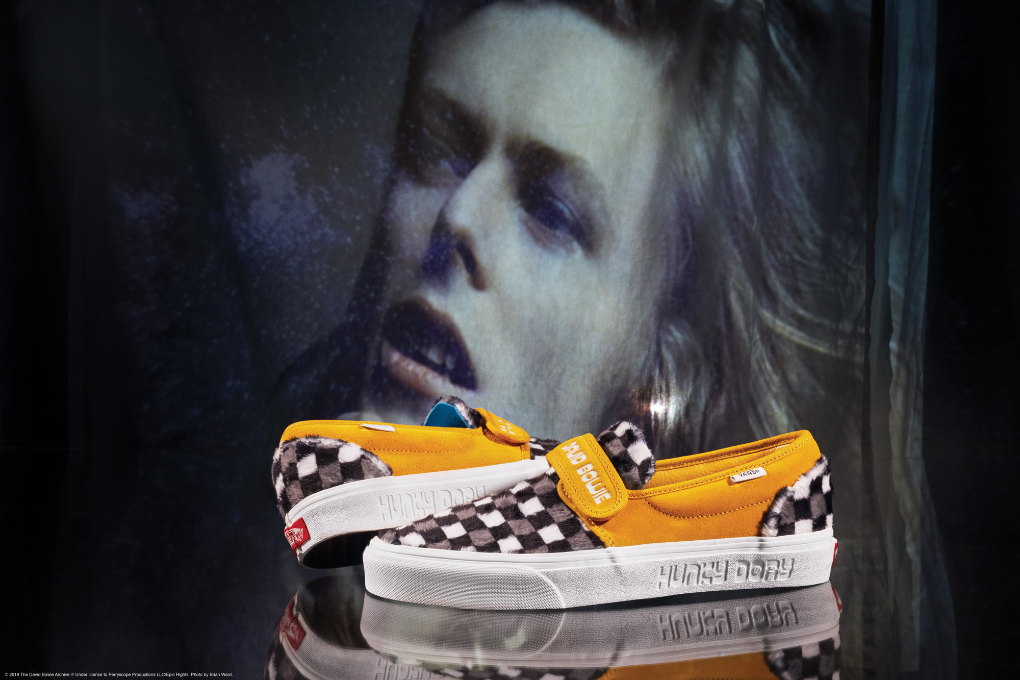 vans x david bowie hunky dory